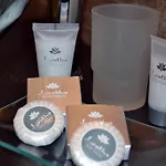 公爵大厦套房 4* 蒙雷亚莱
